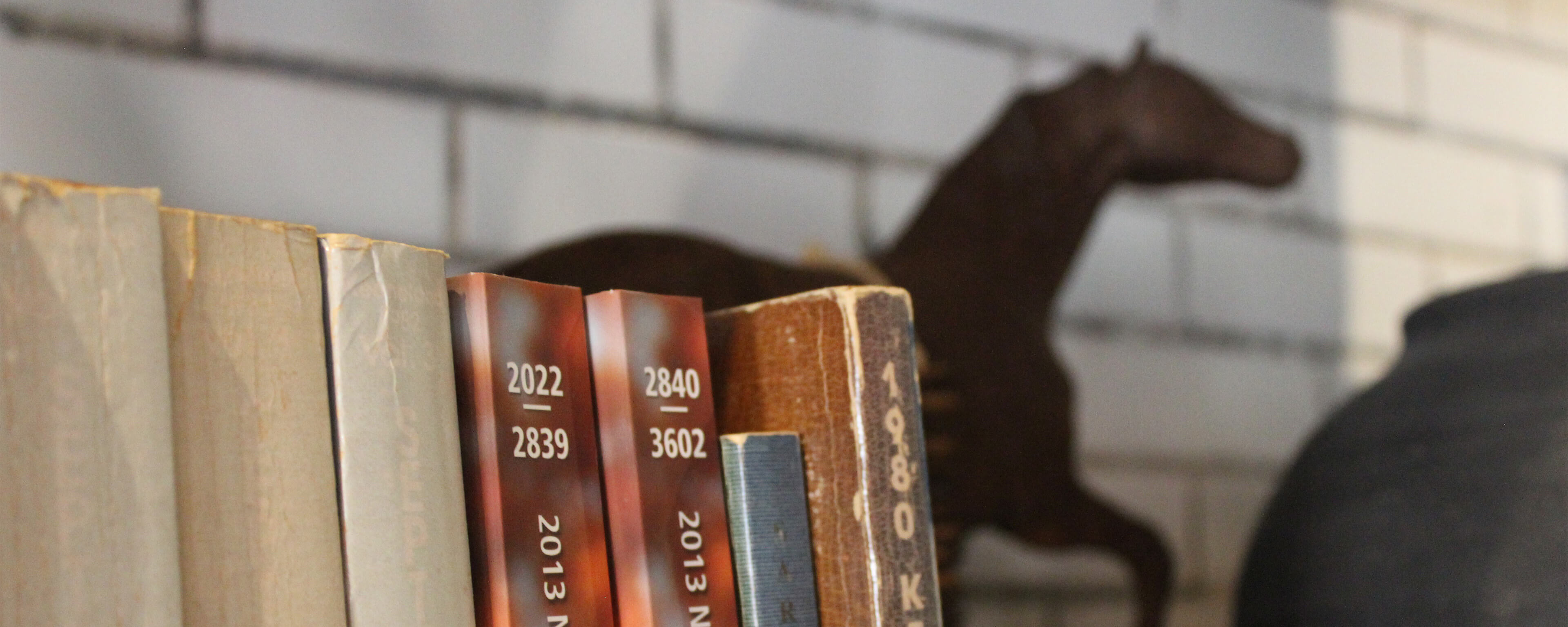 Horseracing record books against a ceramic tiled wall with a horse statue in the background